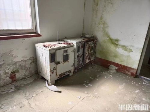 半岛调查丨天花板坍塌 车间成废墟 响当当的老字号竟变成了这样 它还能再 香 吗